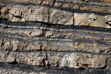 Coal seams exposed in rock of road cut in Carbon County Utah