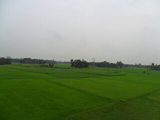 Fototapeta premium Plain Green Land, Landscape view of grass field
