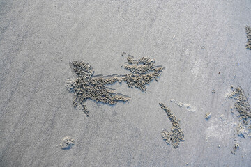 Sand texture abstract background, Sandy Beach for background, Top view, space for your text, the pattern of sandy balls made by fiddler crabs on the beach in Koh Lanta Thailand selective focus © Fazlerabbi