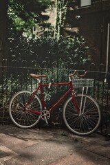 Fototapeta premium bicycle on the road