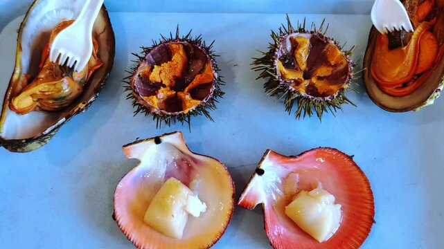 Fresh scallops, oysters, sea urchin. Fresh seafood.