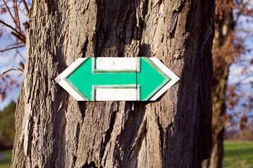 Green Arrow Tourist Sign on Tree