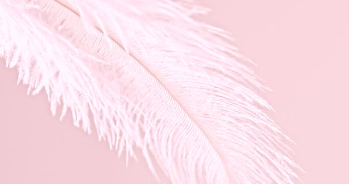Fluffy pink feather texture, on soft background close-up. Softness and beauty care tenderness concept.