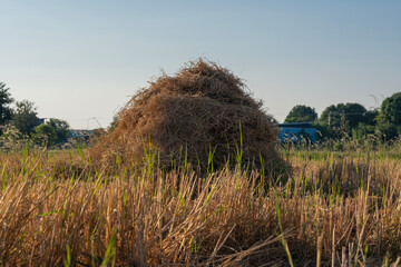 A rural scene featuring a haystack in a field.