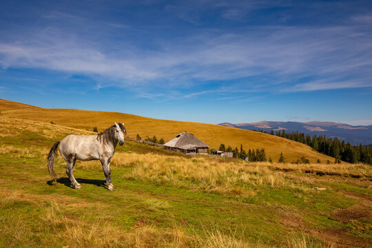 Parang Mountains - Scenic Romanian Landscape