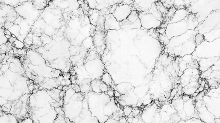 Fototapeta premium White Marble Surface with Black Veins