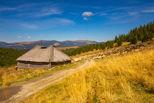 Parang Mountains - Scenic Romanian Landscape