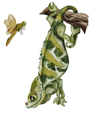 Fototapeta premium Hand drawn digital watercolor colorful illustration of green striped chameleon iguana gecko lizard on branch isolated on white background clipart dragonfly tropical vibe perfect element for design