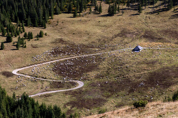 Parang Mountains - Scenic Romanian Landscape