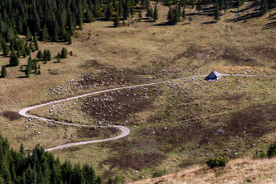 Parang Mountains - Scenic Romanian Landscape