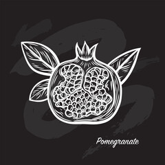 Pomegranate fruit in the style of line drawing on a black background