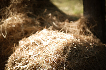 Sunlit haystack in a rural setting.