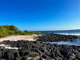 Beautiful coastline on Isla Santa Cruz on Galapagos Archipelago, close to Charles Darwin Research Center in Puerto Ayora