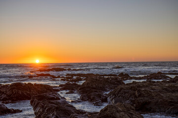 Naklejka premium Sunset on a Pacific Ocean beach, rocky shoreline with seaweed and driftwood, nobody 
