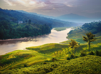 The Rich Culture and Natural Beauty of Assam, India
