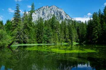 Detail of Green lake in Alps, Austria