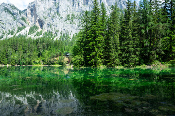 Detail of Green lake in Alps, Austria