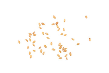wheat grain flying isolated on a transparent background