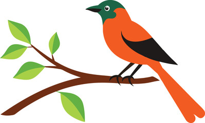 A bird on a tree branch on a white background