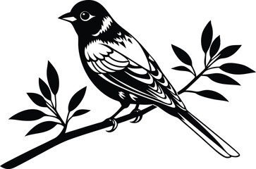 A bird perched on a tree branch on a white background