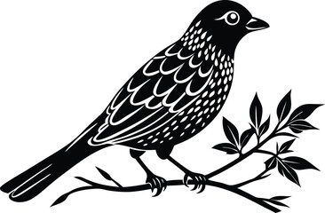 A bird perched on a tree branch on a white background