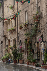 Fototapeta premium Assisi - Perugia - Umbria - Italia