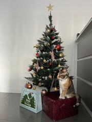 Cute cat near christmas tree sitting on gifts