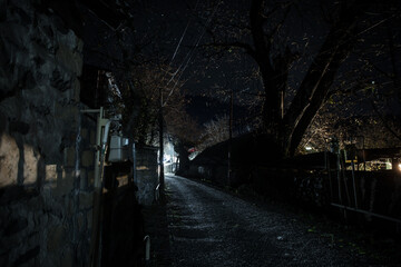 Old house with a Ghost in the forest at misty night or Night scene with House under moon. Old mystic building in dead tree forest.