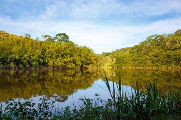 lake in the forest