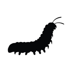A black and white drawing of a large, long, and skinny caterpillar. The caterpillar is curled up and has a long, thin body
