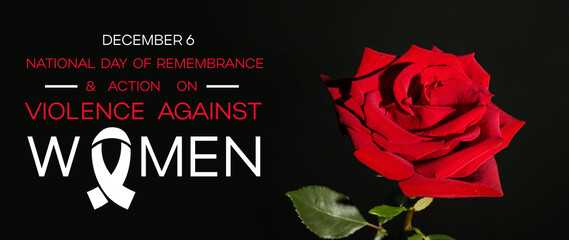 Beautiful red rose on black background