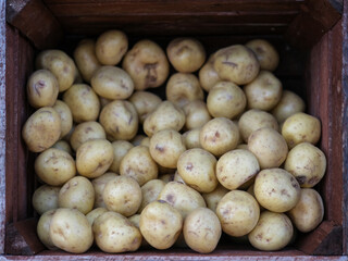 Box Of Potatoes