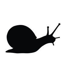 A black and white drawing of a snail. The snail is curled up and has a long, pointed horn on its head