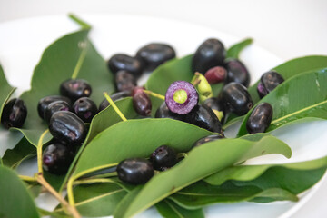 jamelão fruits (Syzygium cumini) in detail