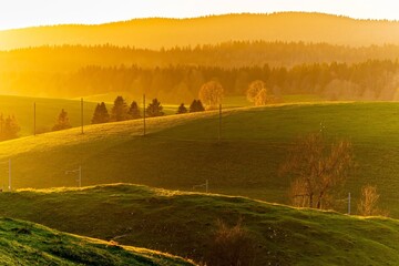 Golden Sunset Over Rolling Hills and Forest.