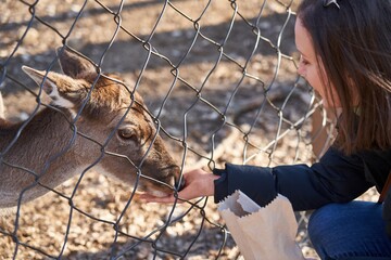 Happy woman feeding a roe at the wildlife park. Zoo in Budakeszi, Hungary