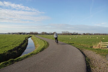 Dutch pasture landscape. Cyclist on a narrow road through the meadows in the Egmondermeer area....