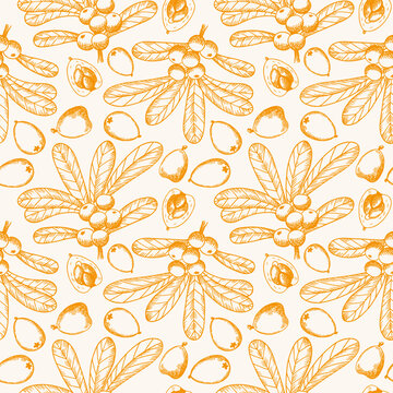Loquat plant hand drawn seamless pattern. Repeating background of Eriobotrya japonica fruits, leaves, branch. Vector backdrop for textile, wrapping, paper, logo, label, print, paper, card