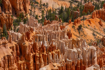 Bryce Canyon National Park in southern Utah, USA. Bryce Canyon National Park is known for crimson-colored hoodoos, which are spire-shaped rock formations. 