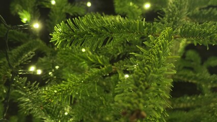 Close-Up of Christmas Tree Branches with Twinkling Lights in Background. A detailed view of a Christmas tree branch with glowing lights, creating a festive and cozy atmosphere, perfect for the holiday