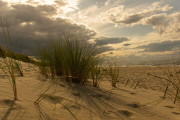 Wydmy na Bałtykiem © wojwarm