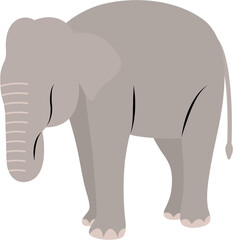 Faceless Illustration Of Elephant Animal