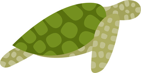 Faceless Illustration Of Turtle Animal