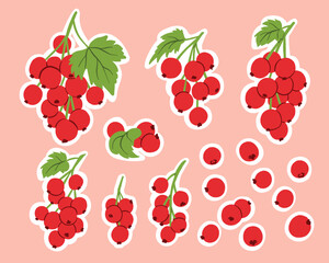 Fresh Currant Berries and Branches Stickers in Flat Style for Drinks and Desserts