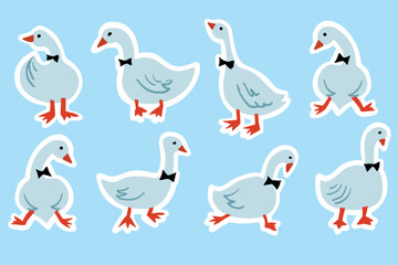 White Goose Birthday Card Design Vector Cute Bird isolated Set