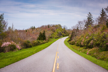 Fototapeta premium Motorcyle - Blue Ridge Parkway