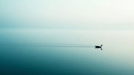 Fototapeta premium A lone bird swims across a still, blue lake with a soft, blue and white sky in the background.