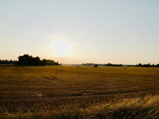 Sunset over the field. Sweden
