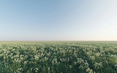 A vast field of green grass and flowers under a clear blue sky, evoking tranquility.