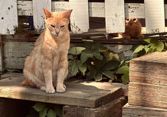 A Mother and Child Reunion